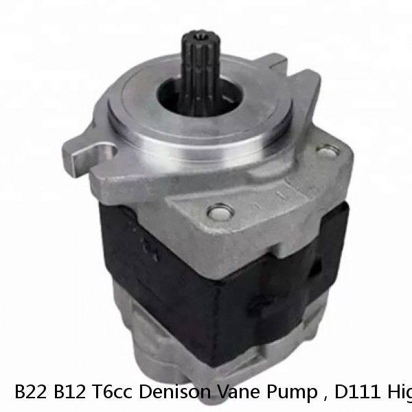 B22 B12 T6cc Denison Vane Pump , D111 High Pressure Hydraulic Pump #1 small image