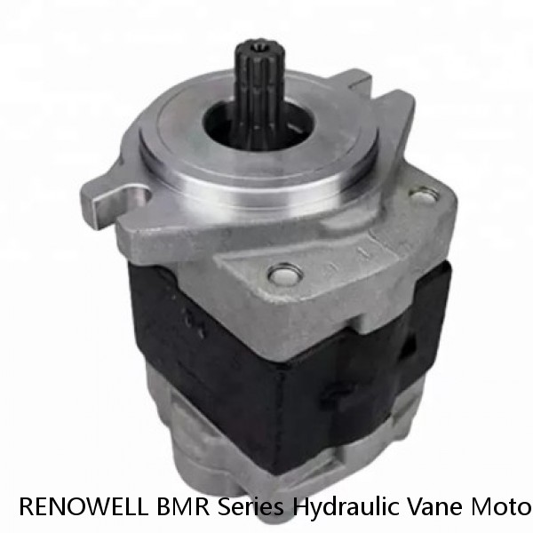 RENOWELL BMR Series Hydraulic Vane Motor With Two Inner Check Valves #1 small image