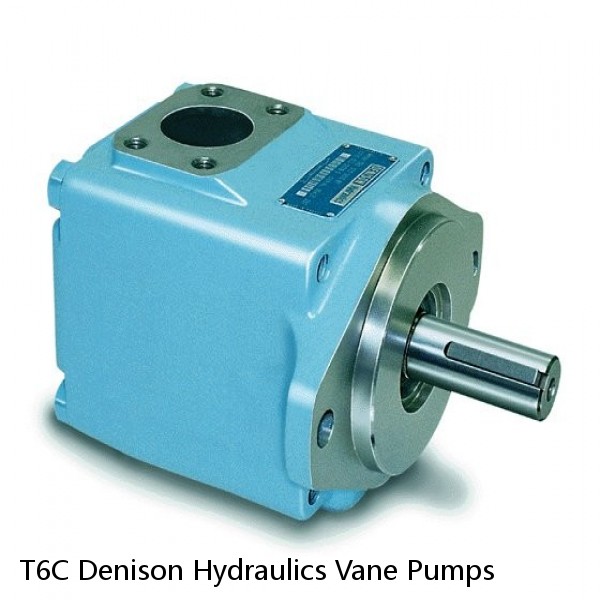 T6C Denison Hydraulics Vane Pumps #1 image