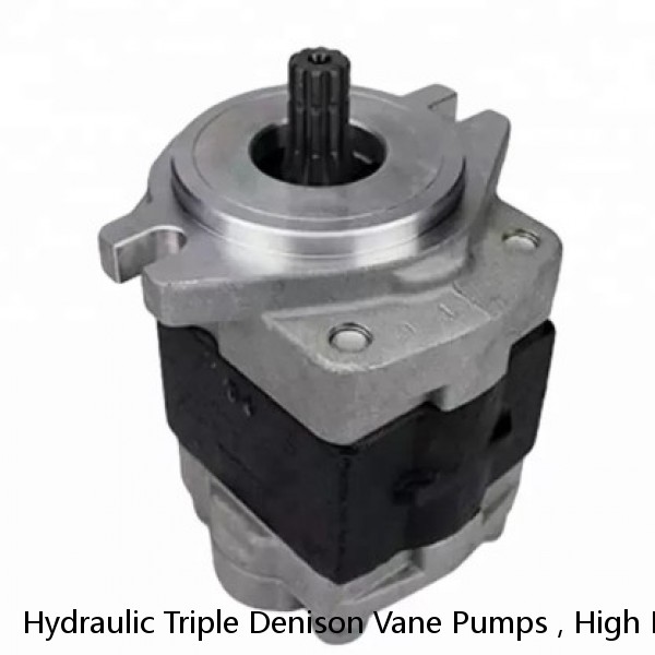 Hydraulic Triple Denison Vane Pumps , High Pressure Vane Pump For Mobile #1 image