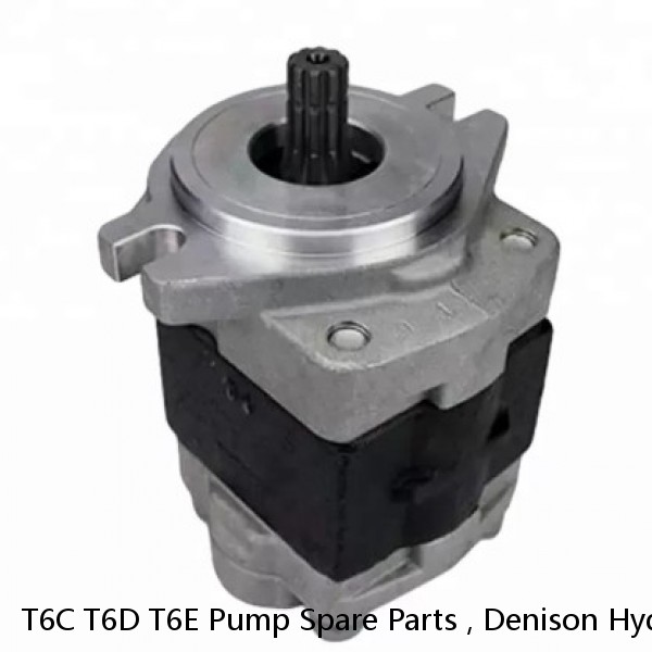 T6C T6D T6E Pump Spare Parts , Denison Hydraulic Pump Replacement Parts #1 image